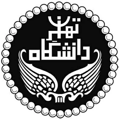 رشته مهندسی کامپیوتر در دانشگاه تهران